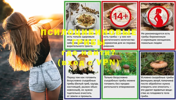 твердый Алексин